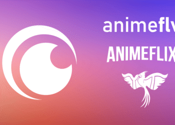 La falsa idolatría a los servicios de streaming ilegales